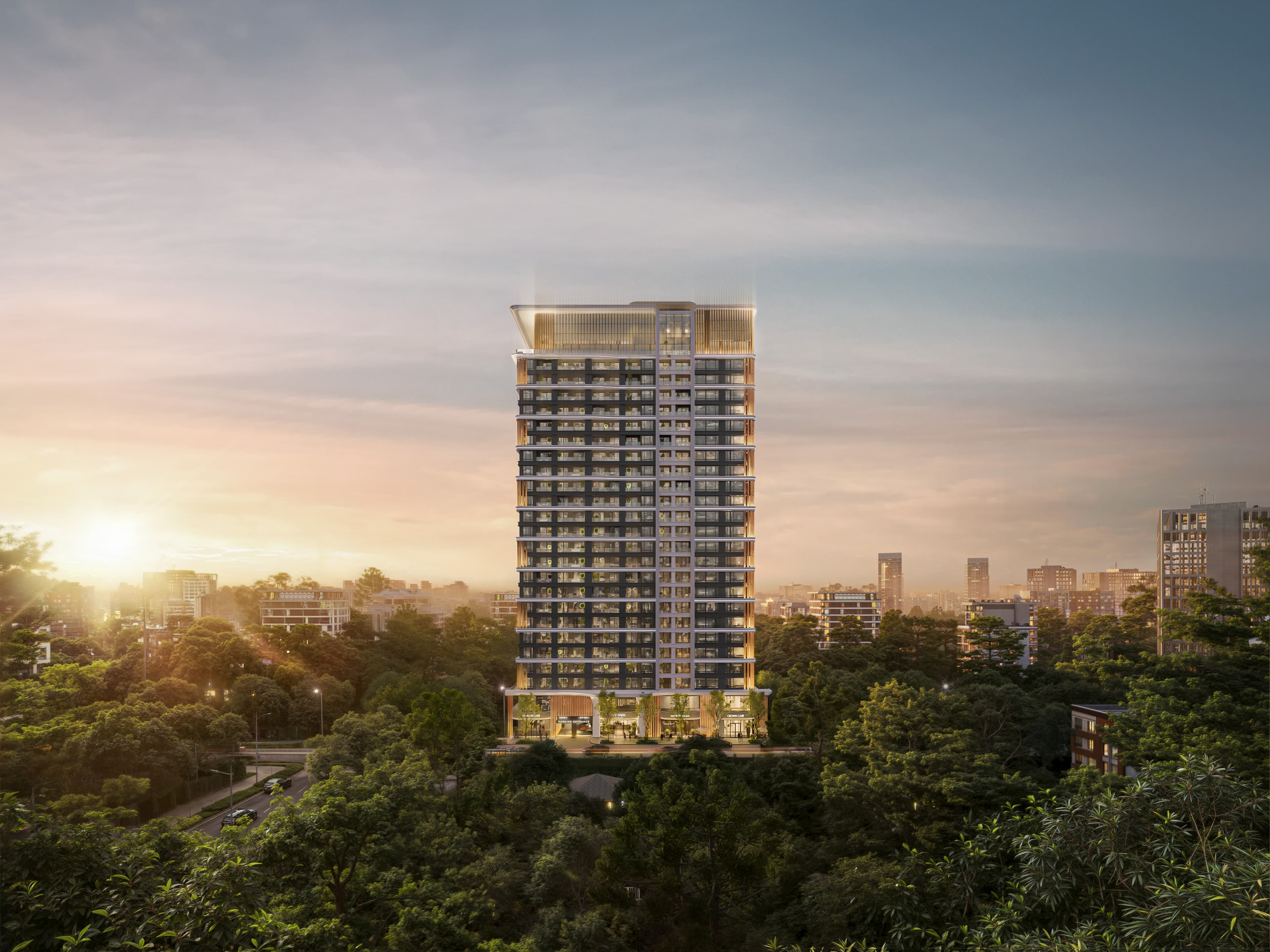 The Ivy Group Development